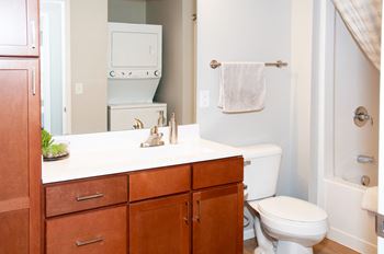 Built-in cabinets/storage